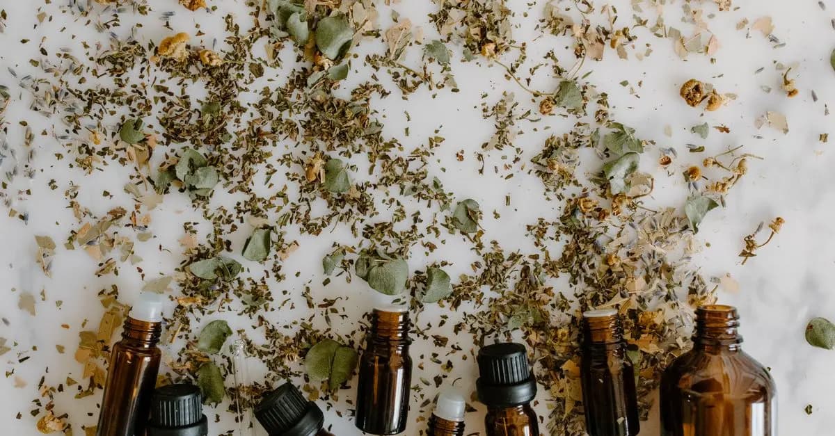 Les meilleures huiles essentielles coréennes pour votre peau