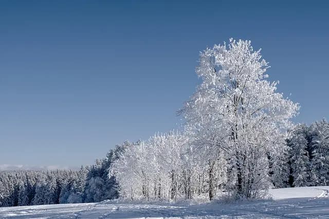Les Soins Coréens pour l'Hiver : Astuces et Produits à Adopter