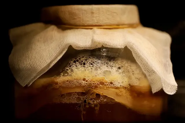 Les Meilleurs Ingrédients Fermentés dans les Soins Coréens
