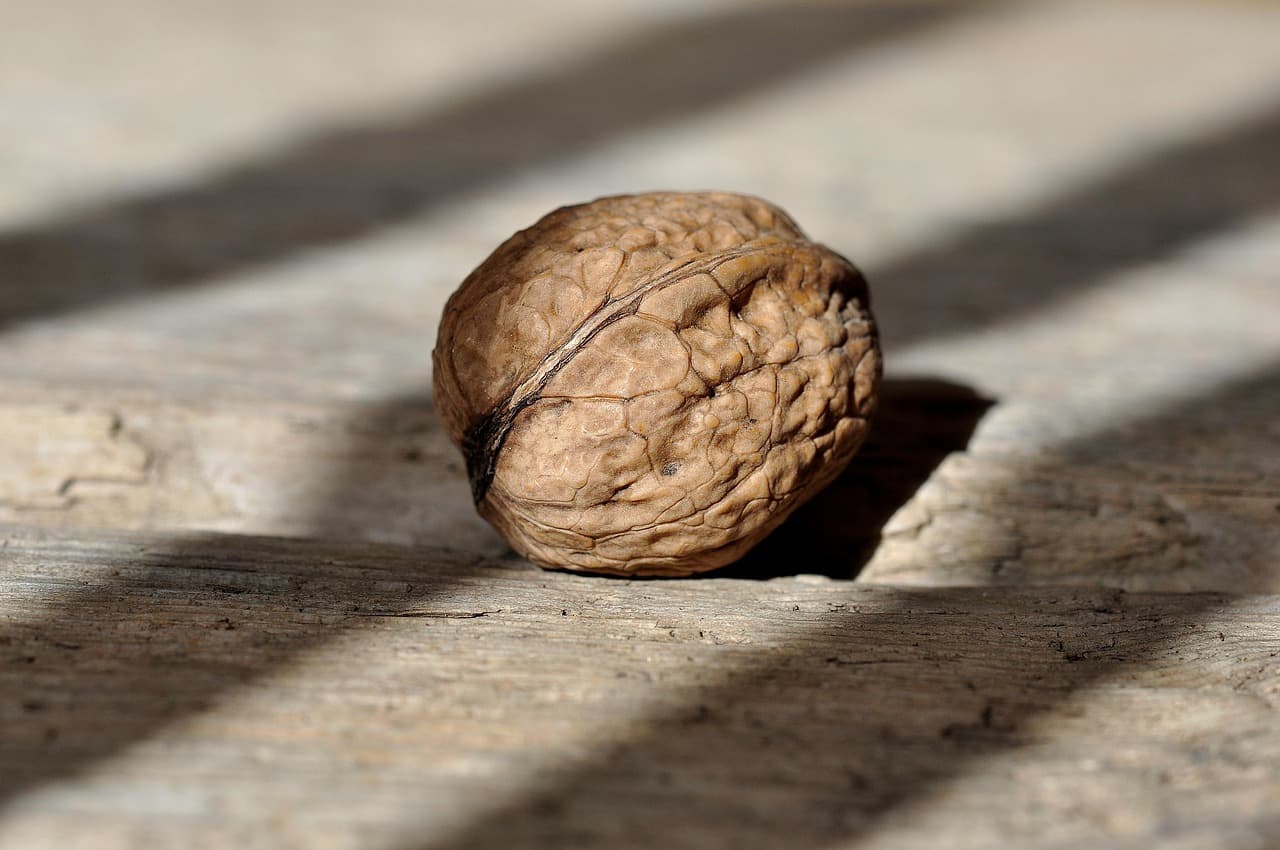 Comment choisir le meilleur sérum coréen pour votre peau