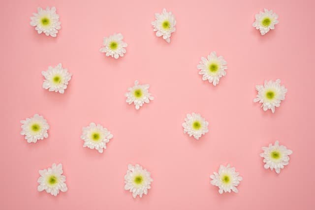 Les bienfaits des soins coréens pour votre routine beauté