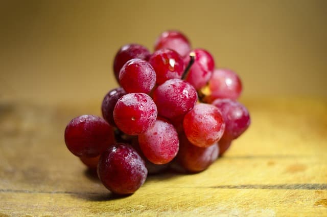 Comment choisir le bon sérum coréen pour votre peau